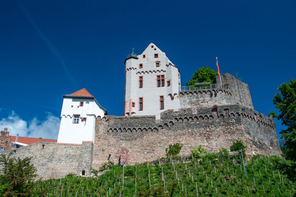 Burg Alzenau