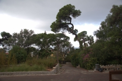 Gibraltar, Botanischer Garten