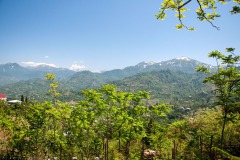 Blick zum Mtirala Nationalpark