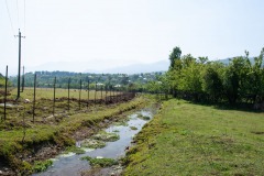 Hinter dem Dorf Avgia