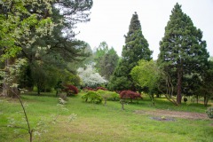 Botanischer Garten