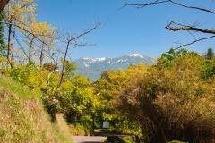 Im Botanischen Garten