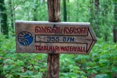 Im Mtirala Nationalpark