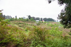Sakhalvasho's Umgebung