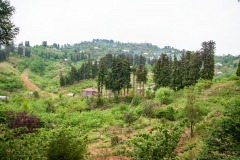 Sakhalvasho's Umgebung