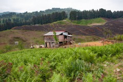Sakhalvasho's Umgebung