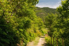 ...auf der Wanderung bergauf
