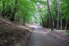 Weg zum Grünen Kloster