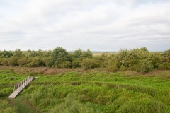 Kobuleti Nature Reserve