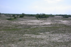 Dünenlandschaft bei Letea