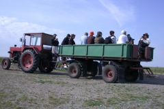 Fahrt in die Dünen bei Letea