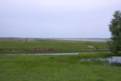 Landschaft bei Stipoc