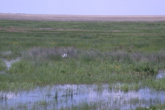 Landschaft am Tataru-Kanal