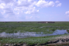 Landschaft am Tataru-Kanal