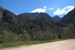 Foret de Bonifatu
