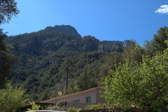 Foret de Bonifatu
