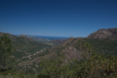 Foret de Bonifatu