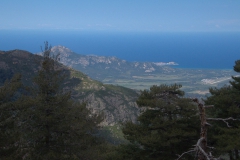 Foret de Bonifatu