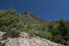 Entlang der Tavignano-Schlucht