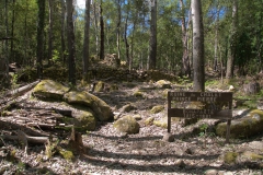 Foret de Bonifatu