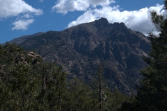 Foret de Bonifatu