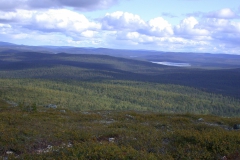Blick über die Weite der finnischen Wälder