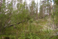 Aufstieg vom Wasserfall auf den Wanderweg by Seija