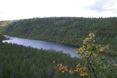 Landschaft im Kevo Naturreservat