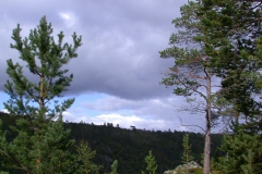 Landschaft im Kevo Naturreservat