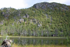 Landschaft im Kevo Naturreservat