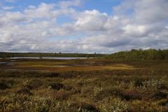 Landschaft im Kevo Naturreservat by Seija