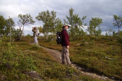 Unterwegs im Kevo Naturreservat