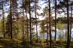 Landschaft südlich Inari by Seija
