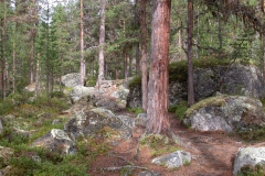 Wanderweg zur Wildniskirche