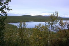 Im Kevo Naturreservat
