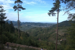 Blick ins Renchtal bis in die Vogesen