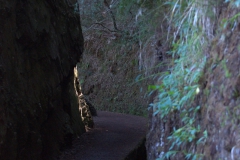 Entlang der Levada