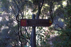 Im Tal bei den 25 Wasserfällen