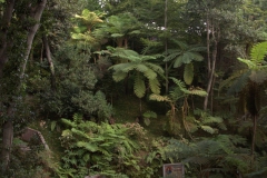 Im Monte Palace Tropical Garden