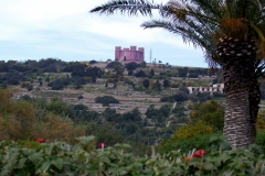 Red Tower