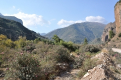 Auf dem Weg nach Plataniotissa