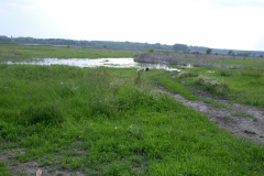 Jabuka