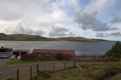 Blick von Scalloway zur Insel Trondra