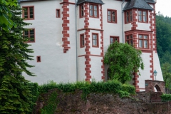 Burg Miltenberg