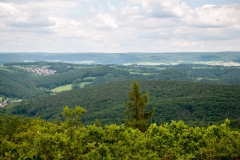 Landschaft bei Alzenau
