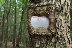 Eingewachsenes Wanderschild