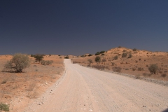 Landschaft im Kgalagadi National Park