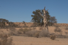 Landschaft bei Askham