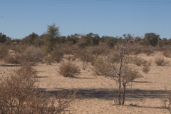 Landschaft bei Askham