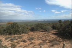 Im Addo Elephant National Park
